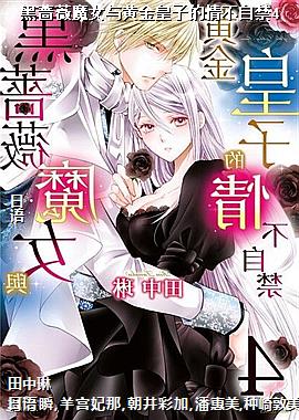 黑蔷薇魔女与黄金皇子的情不自禁4