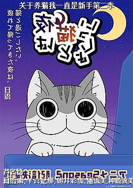 关于养猫我一直是新手第二季