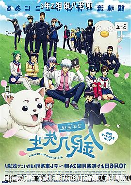 3年Z组银八老师